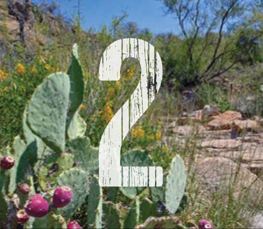 Appeal #2 – PLEDGE