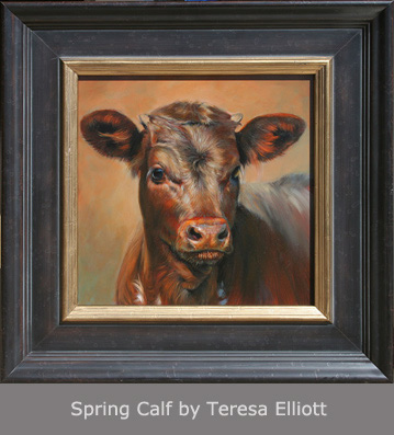Spring Calf by Teresa Elliott