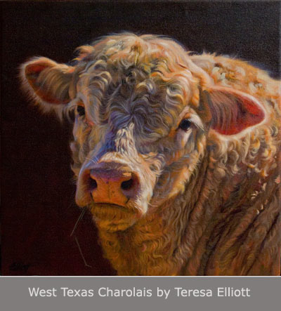 West Texas Charolais by Teresa Elliott