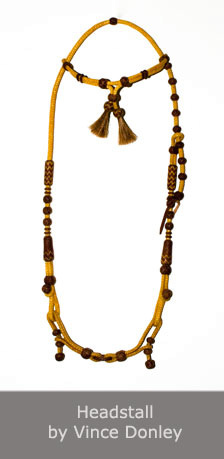 Headstall by Vince Donley