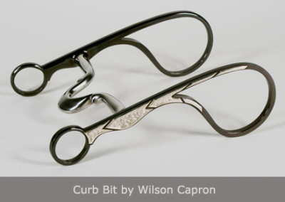 Curb Bit by Wilson Capron