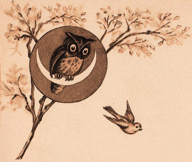 gift-shop-illustration