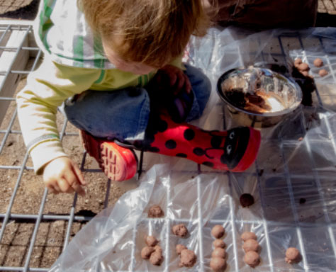 jim-bones-seed-balls-2