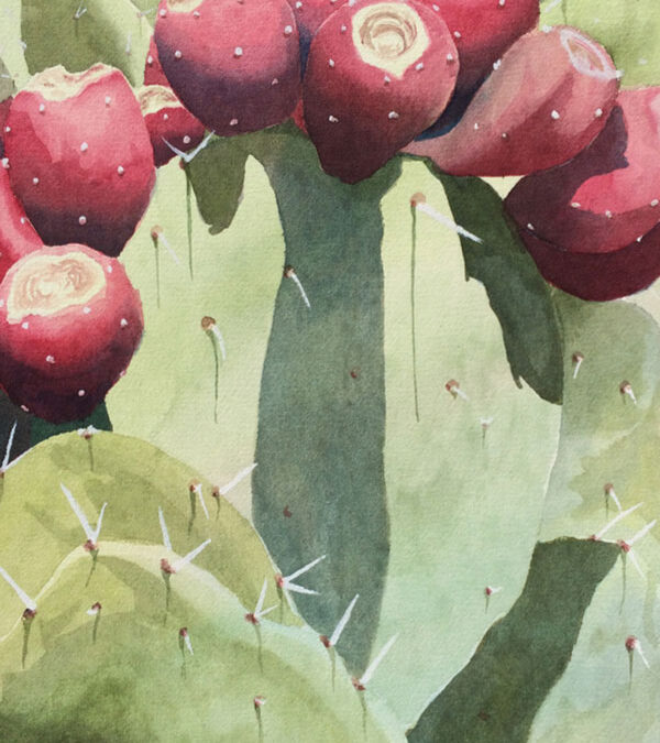 Prickley-Pear-by-Jan-Moeller