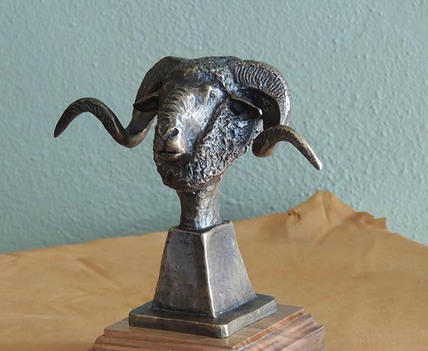 Rambouillet Buck by Raul Ruiz