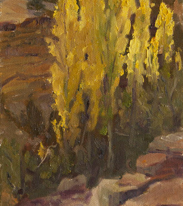 Canyon Poplars by Jan Mapes