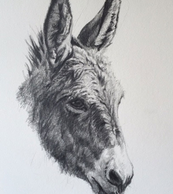 SOLD Burro by Tyler Crow