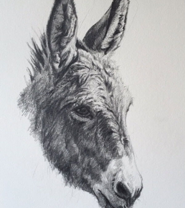95.Burro-graphite,-$850–Tyler-Crow