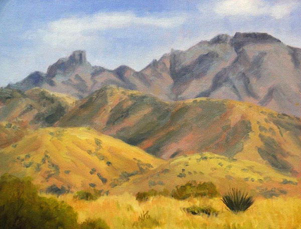 Chisos-Mountains-Big-Bend-National-Park-by-Julane-Jensen