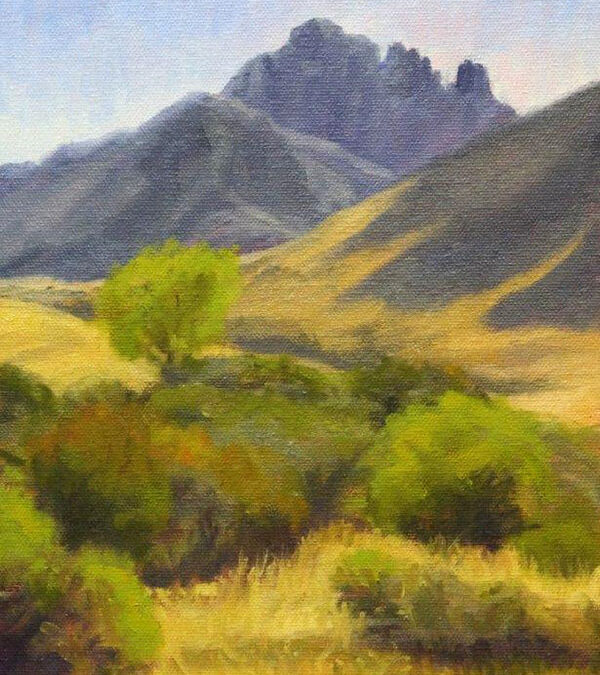 Evening-Light-on-Sawtooth-Mountains-By-Julane-Jensen