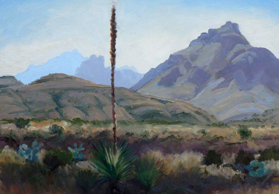 Lechugilla,-16-X-20,-oil-on-linen,-Carolyn-Dailey