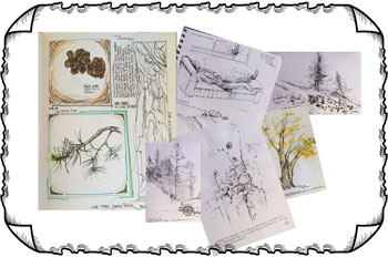 Pen-and-Ink-Journaling