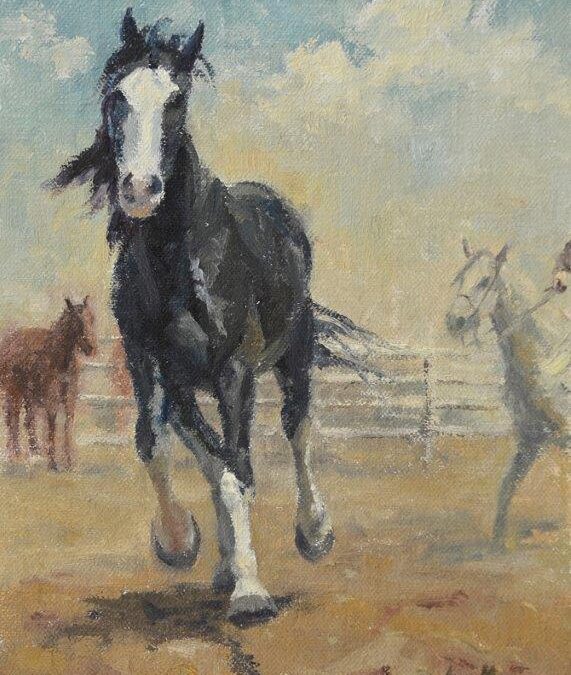 28. Jan Mapes, Comin’ To Ya, 6 x 8, oil, $795
