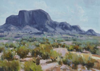 Summer Chisos by David Forks