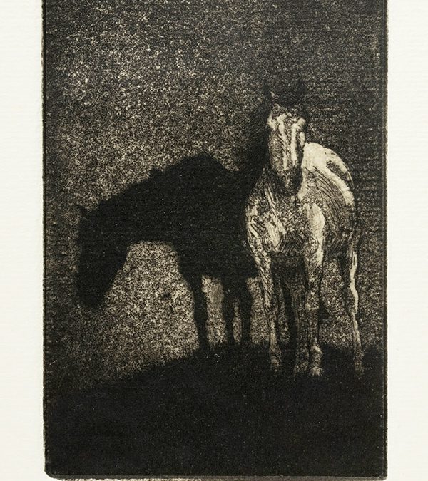 Horses at Night by Phil Epp