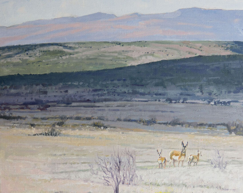 Tom Paulson, Somewhere Near Marfa, Oil, 24 x 20, $2400