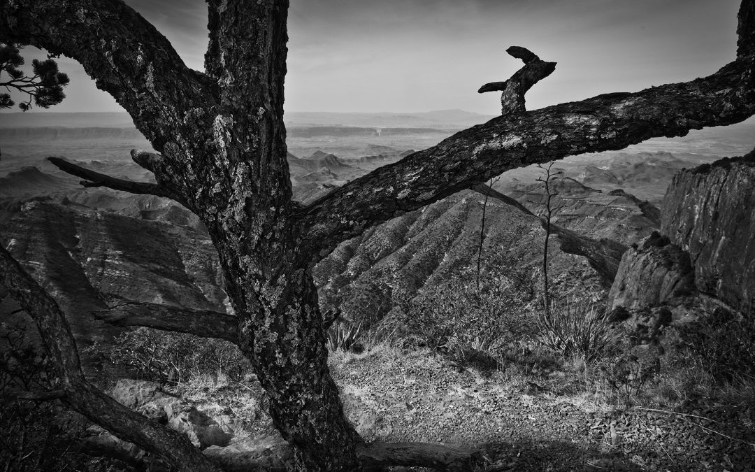 On Edge