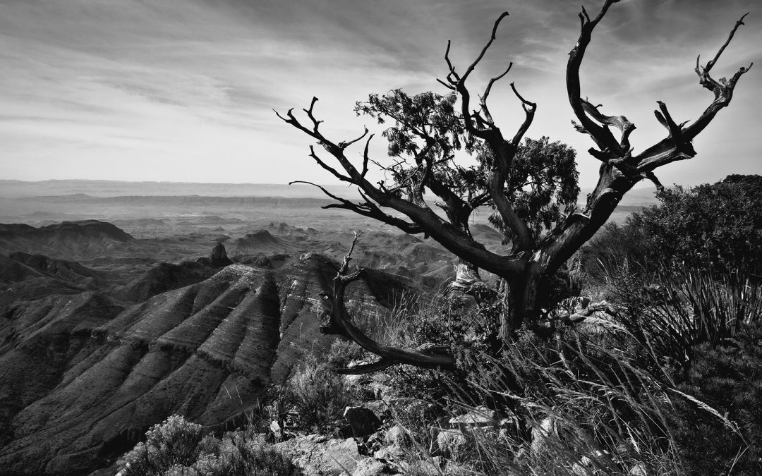 On the South Rim