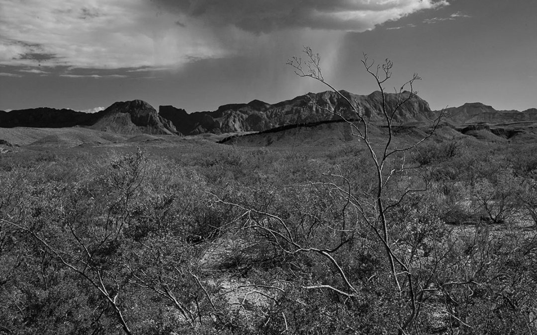 Rain on the Chisos