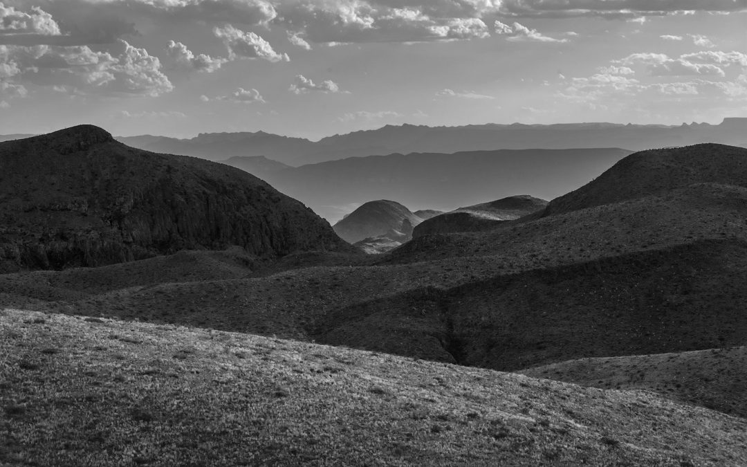 Sotol Overlook