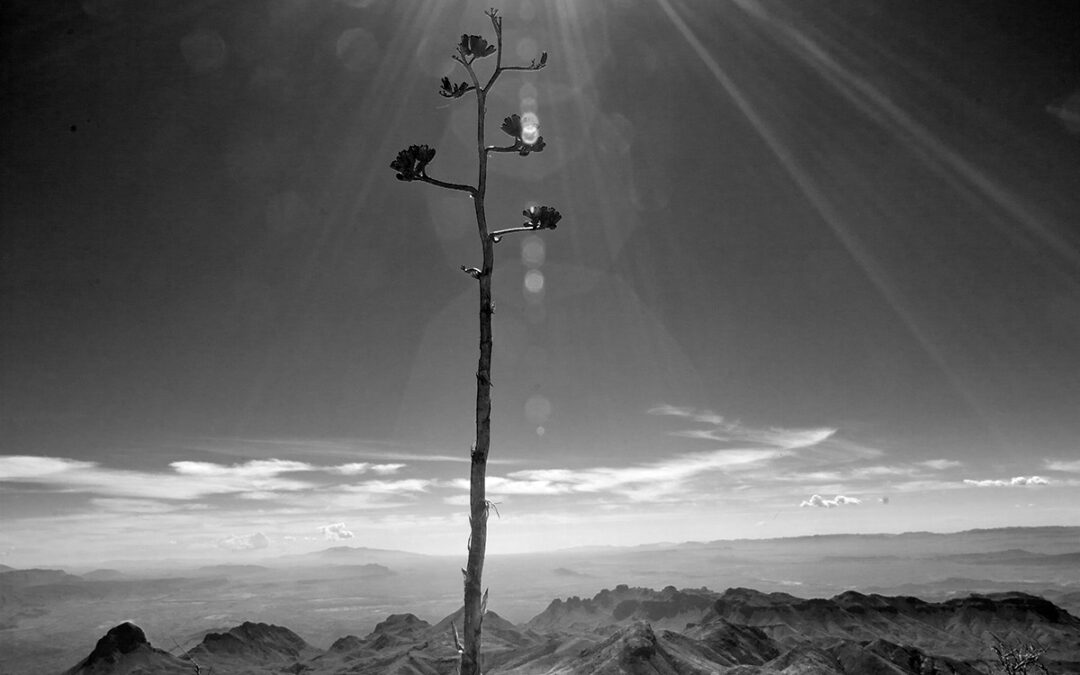 Sun and the South Rim