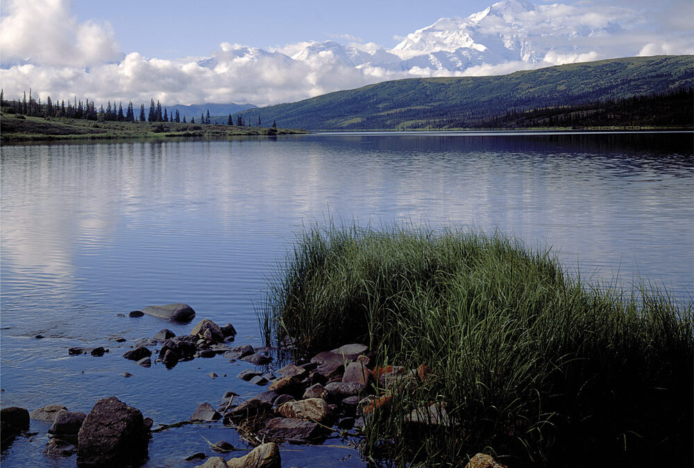 Denali Wonder Lake by Jim Bones