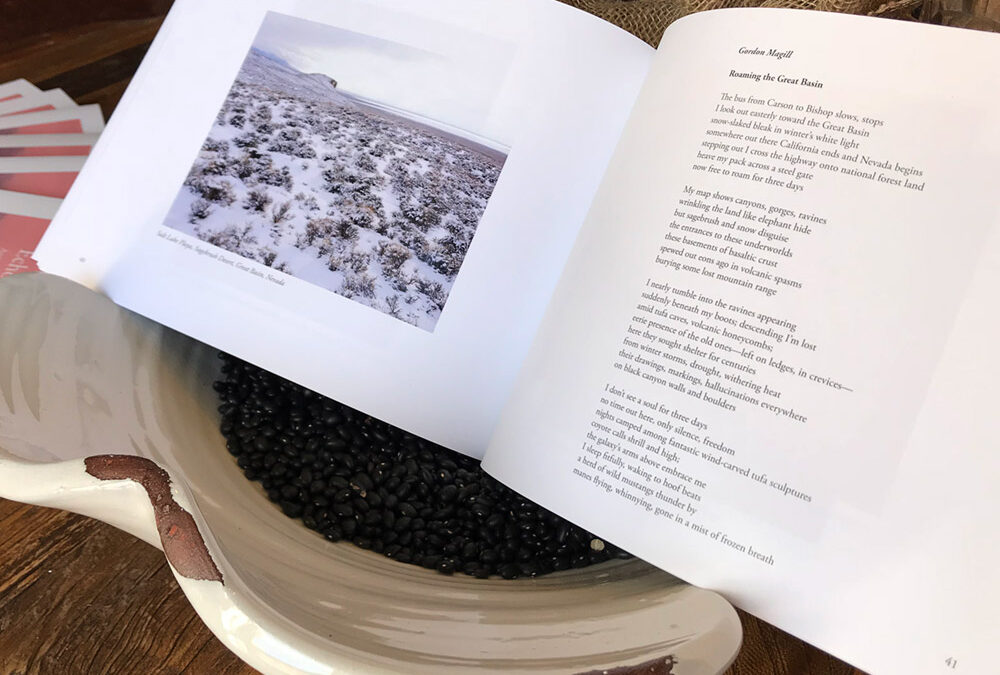 Inside spread from Echoes of the Cordillera