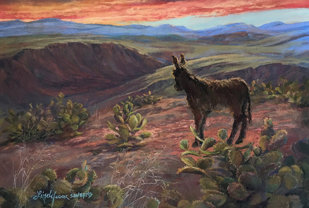 All is Wild by Lindy Cook Severns