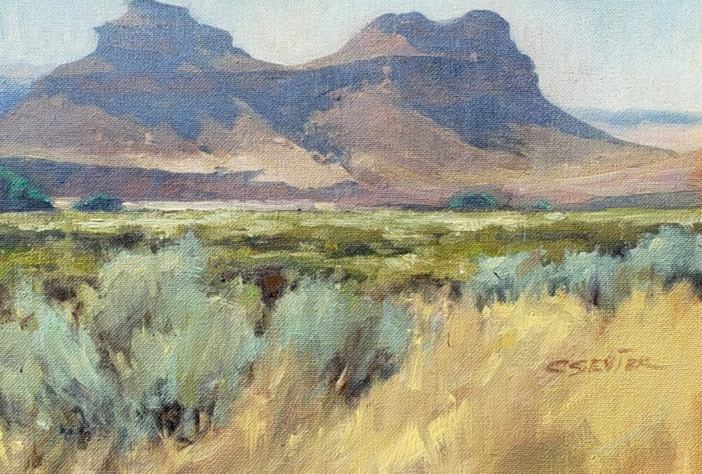 South of Heaven by Chessney Sevier