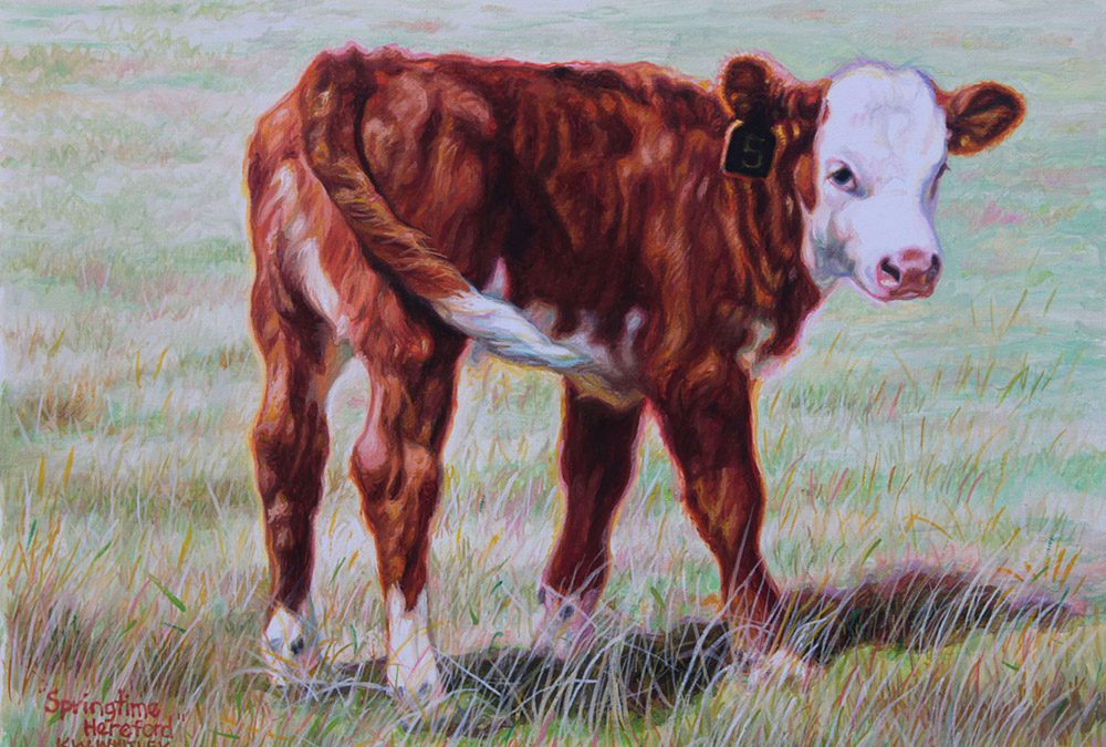 Springtime Hereford by K. W. Whitley – SOLD