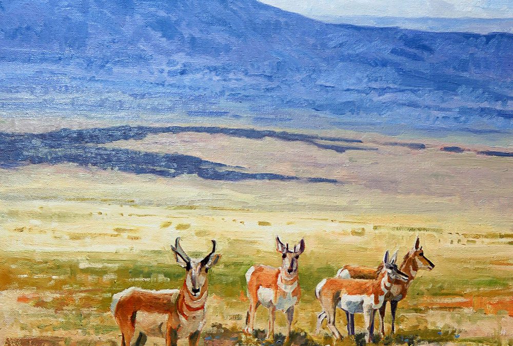 West Texas Pronghorns by Tom Paulson – SOLD