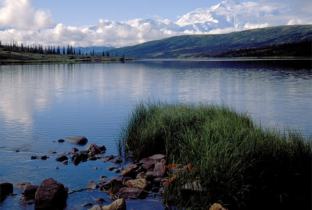 Denali, “The Great One,” Tallest Peak in North America (20,310 feet), Alaska Range