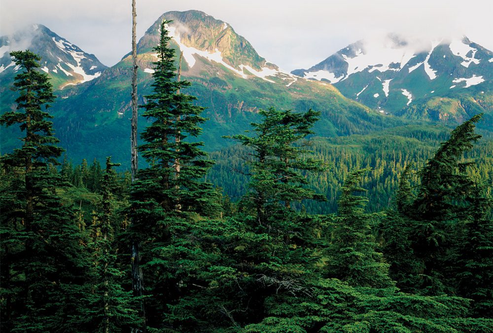 Coastal Peaks, Chugach Mountains, Cordova, Alaska