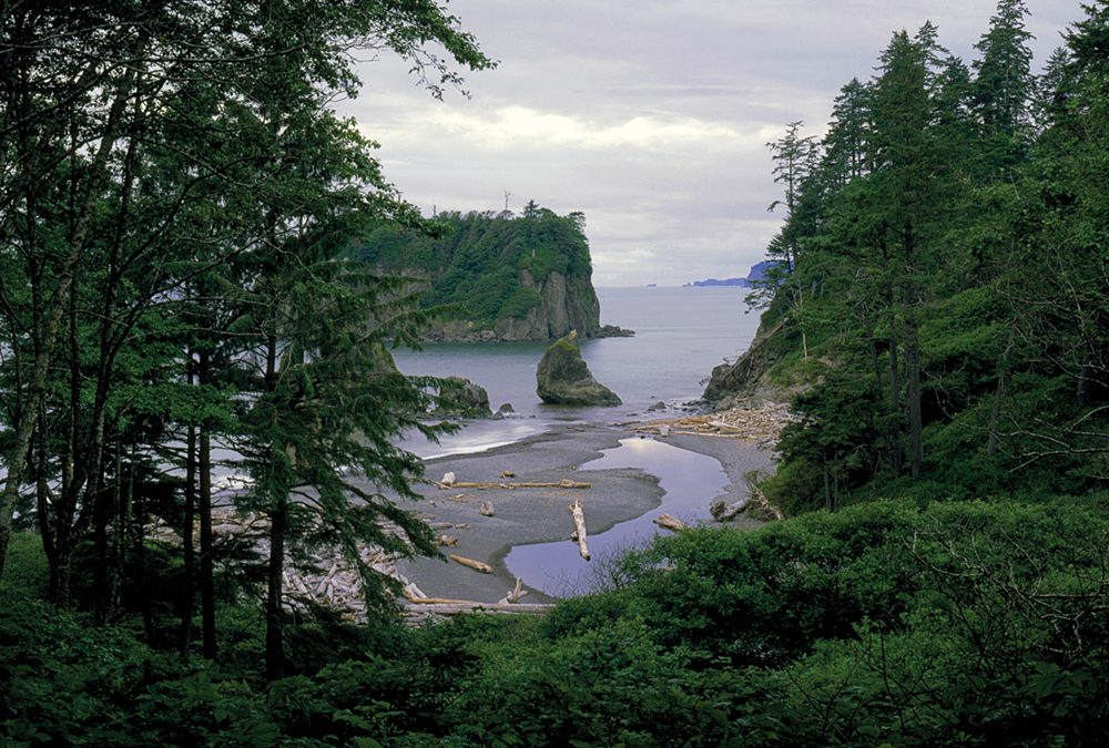 Pacific Ocean, Olympic Coast, Hoh Temperate Rainforest, Washington