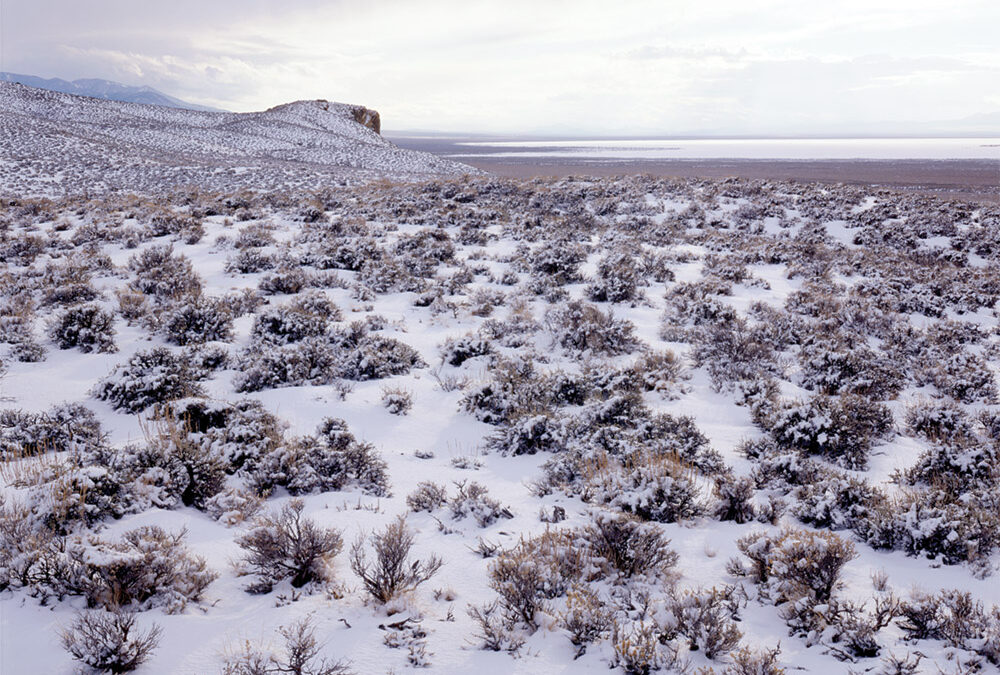 Salt Lake Playa, Sagebrush Desert, Great Basin, Nevada