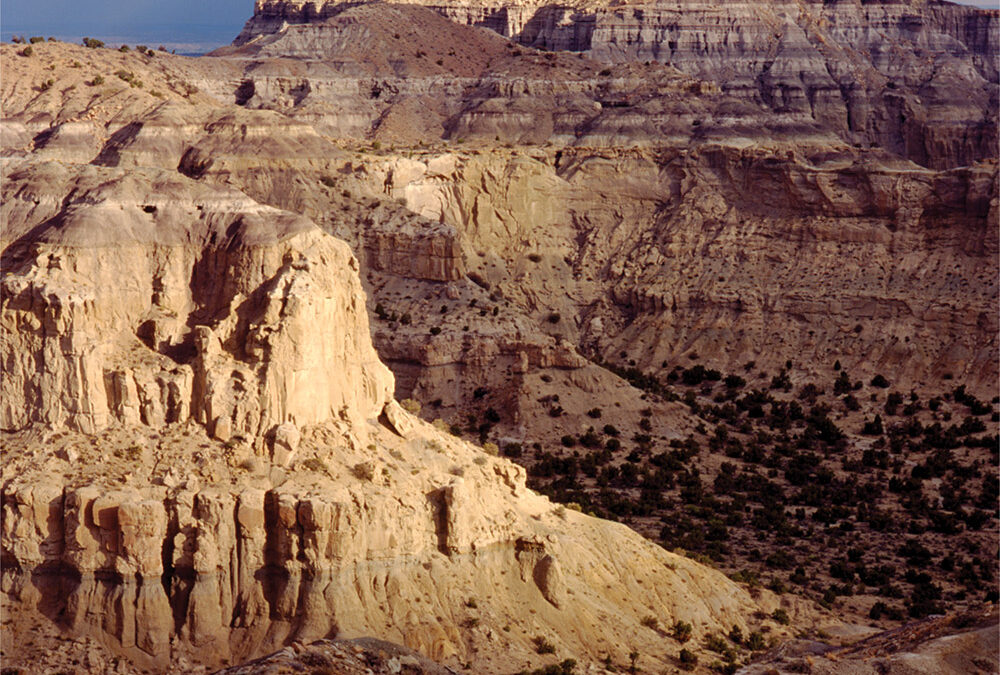 Angel Peaks Badlands, San Juan River Basin, New Mexico