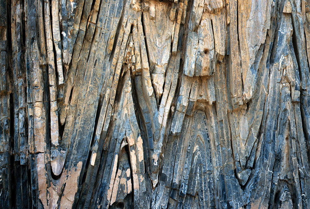 Folded Seabed, Sierra Madre Oriental, Tamaulipas, Mexico