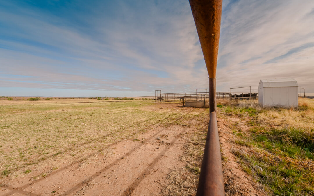 Fenced In, Quitaque, Texas by Susan Edgley