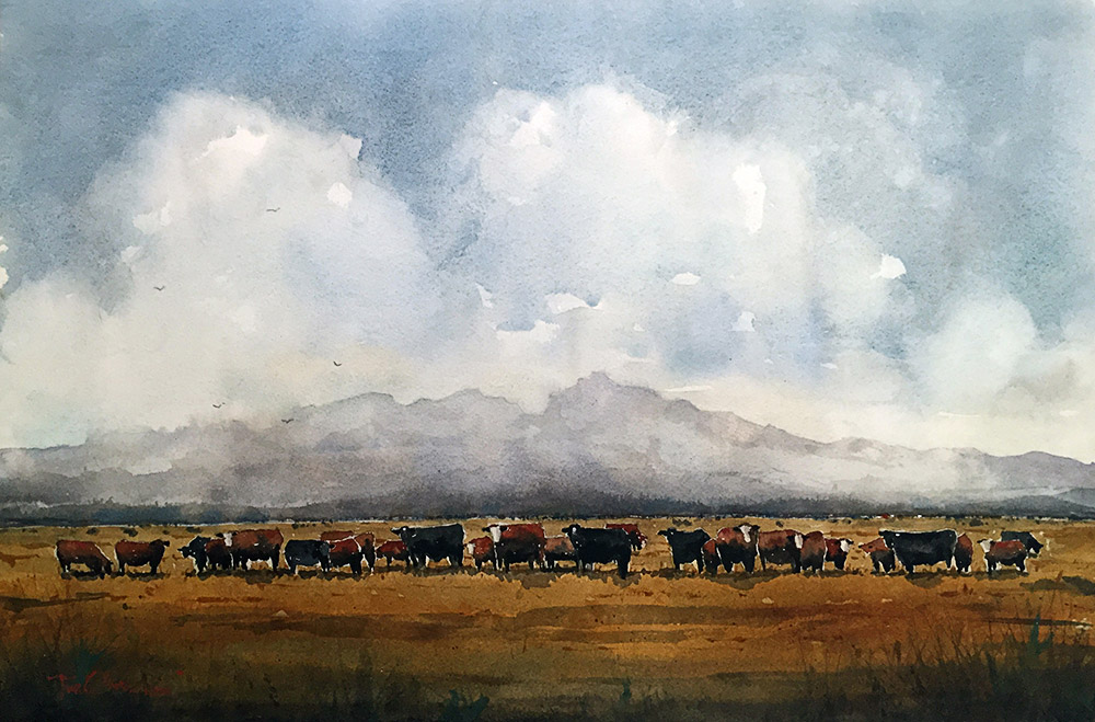 Fat Cows on Rancho Espuela Grass by Tim Oliver