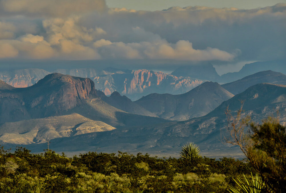 Photograph by Tim McKenna