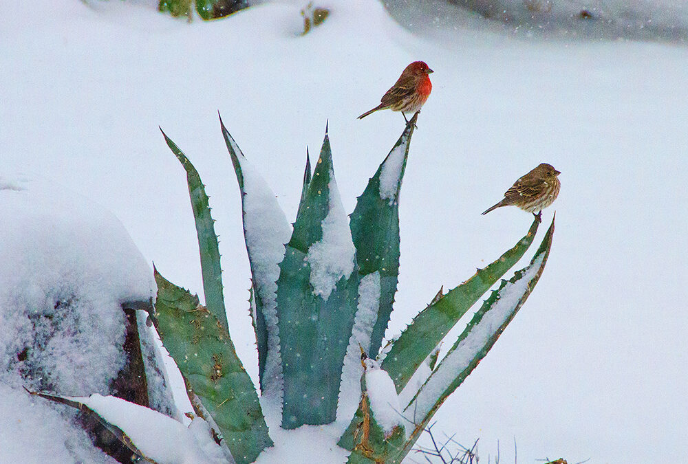 Photograph by Tim McKenna