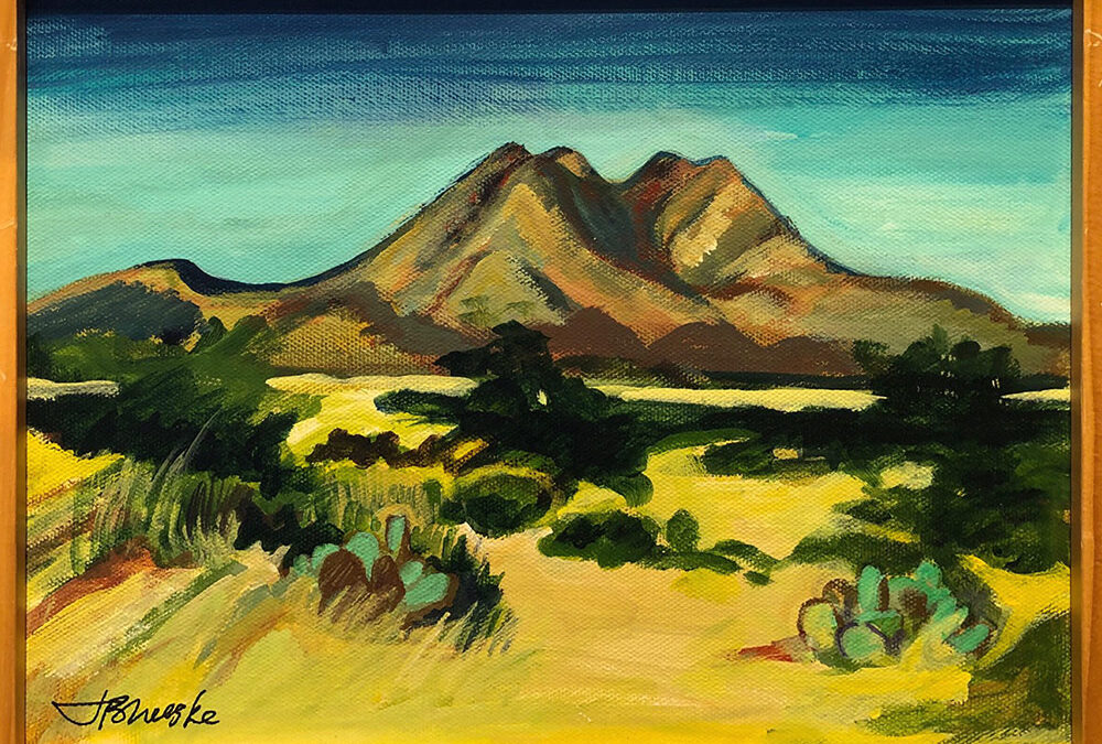 Twin Sisters by Judith Brueske