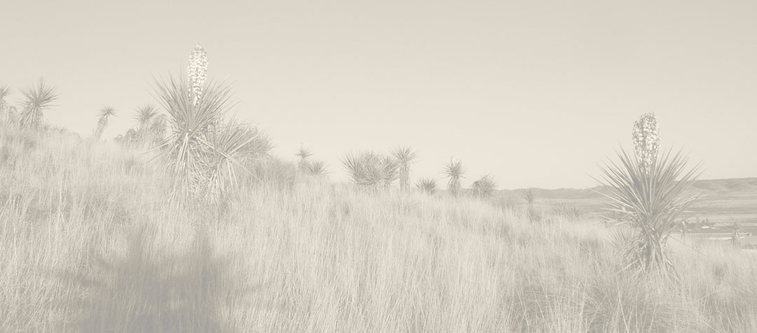 Trappings2019 slider background