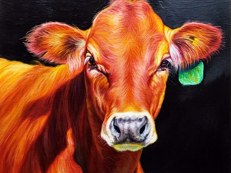 Red Calf by KW Whitley – SOLD
