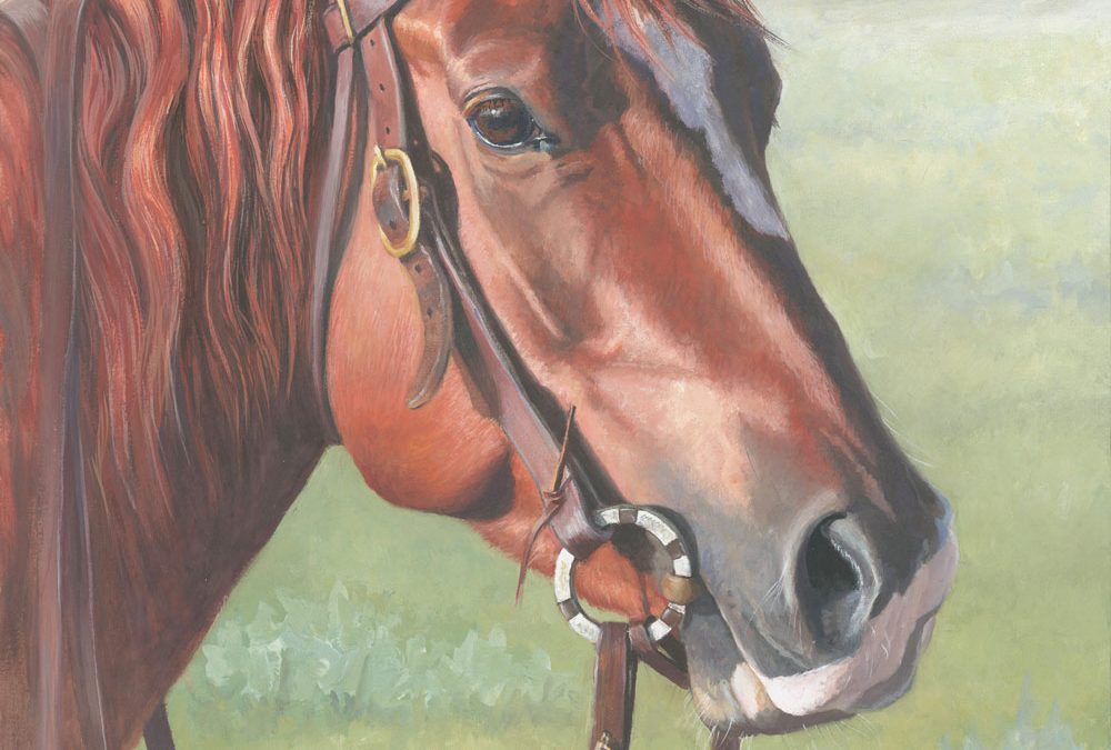 The Big Country Colt by Kathryn Leitner – SOLD
