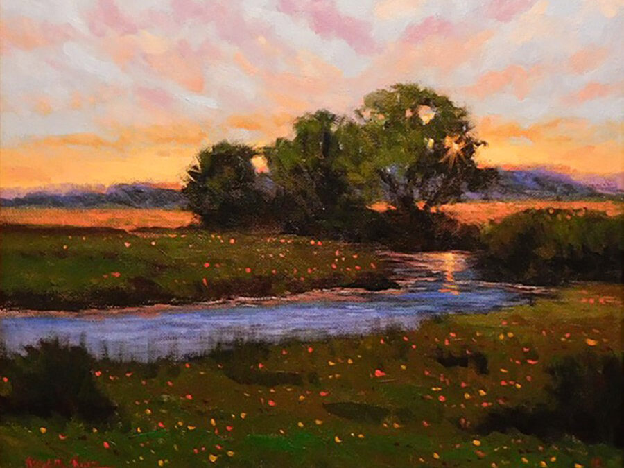 West Texas Sunset by Raul Ruiz