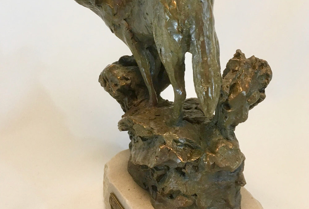 El Coyote by Stephen Jones