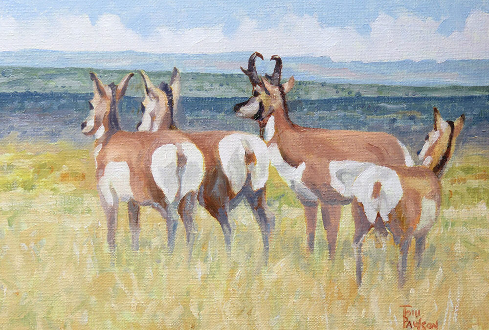 Something’s Out There by Tom Paulson