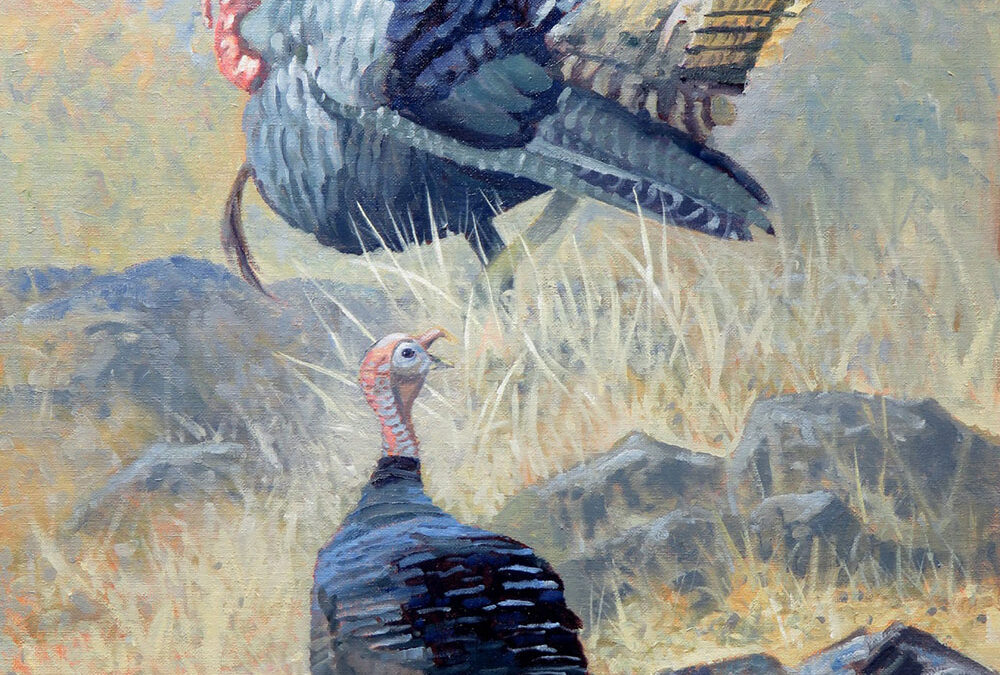 Turkey! Turkey! by Tom Paulson