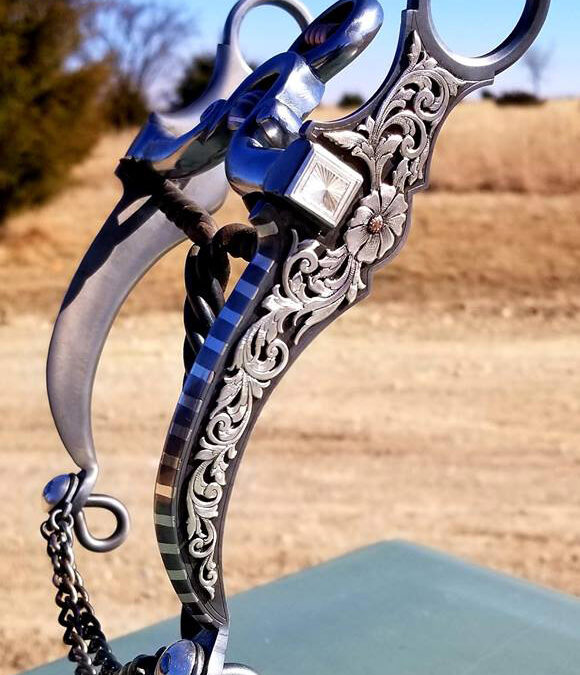 Nevada Cheek Bridle Bit by Troy Flaharty